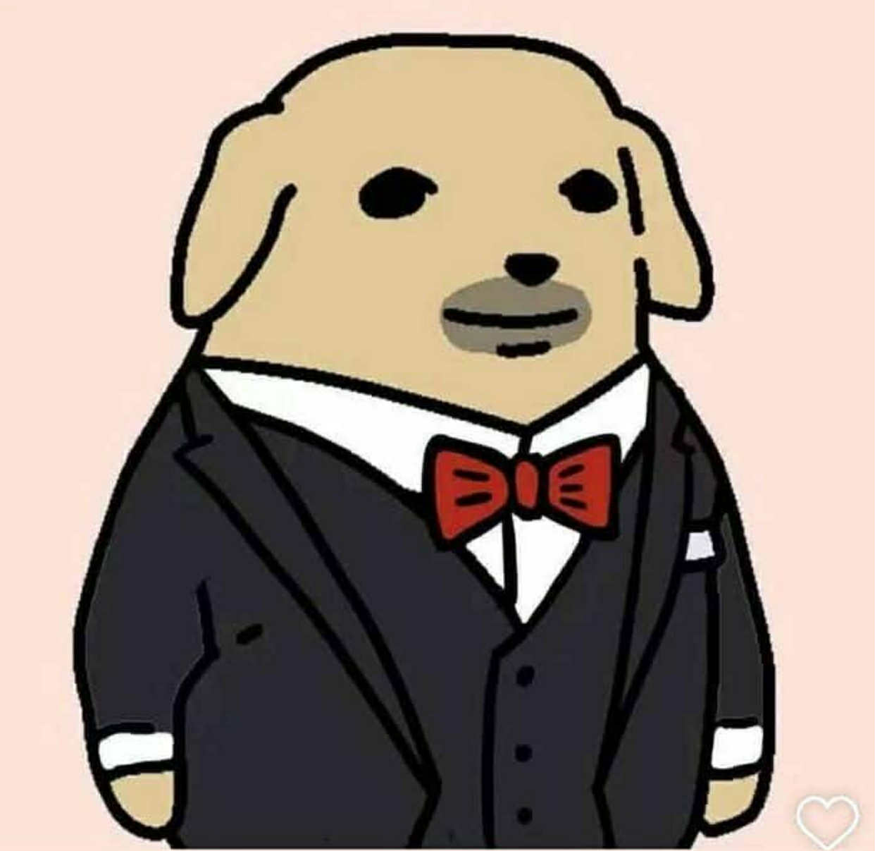 phở bò hỗ trợ